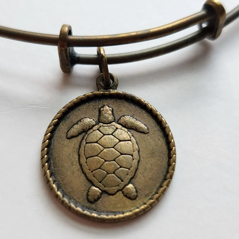 Bronze Turtle Charm Bracelet